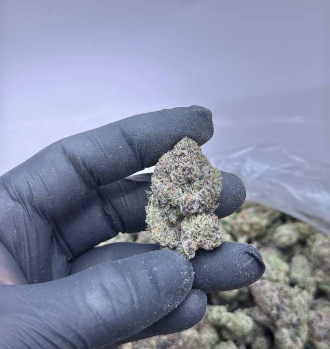 Ape Berry