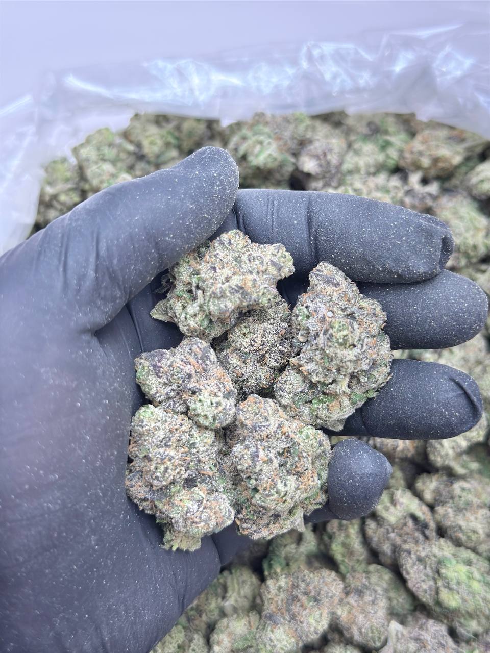 Ape Berry